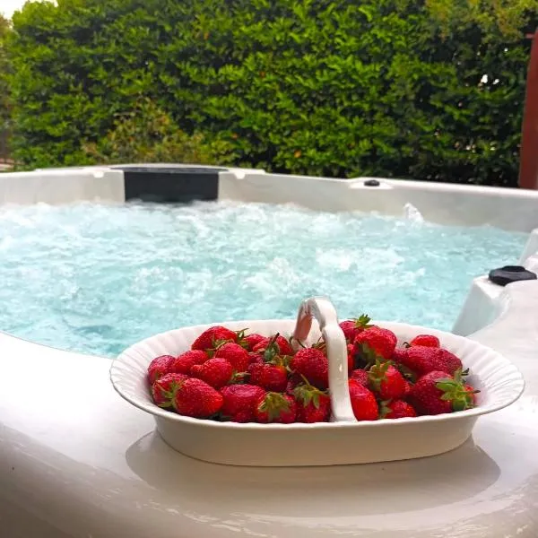 Jane's Garden，位于马图利的酒店