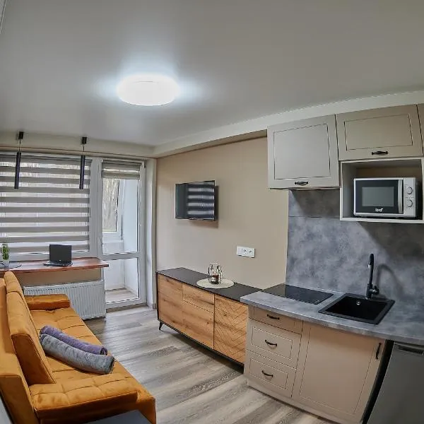 COZY VISIT, Studio4 with balcony, 24h Self Chek-in, on the first floor，位于考纳斯的酒店