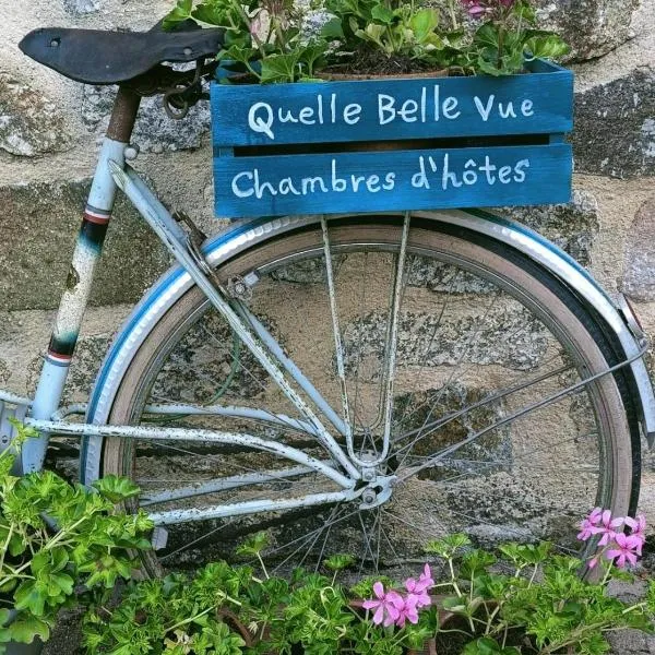'Quelle Belle Vue' Chambre d'Hote，位于Saint-Maurice-des-Lions的酒店