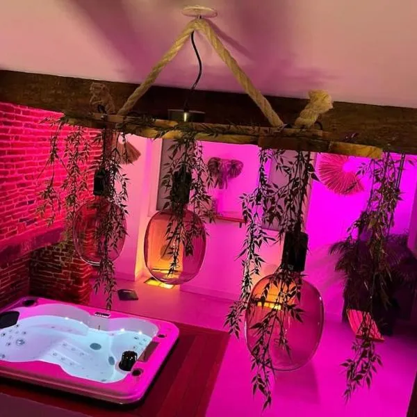 Love Room Toulouse，位于Léguevin的酒店