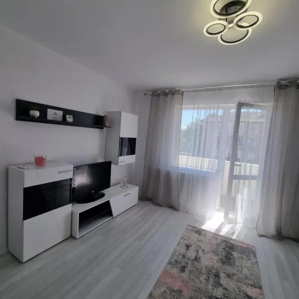 Apartament central pe pietonala nr2，位于胡内多阿拉的酒店