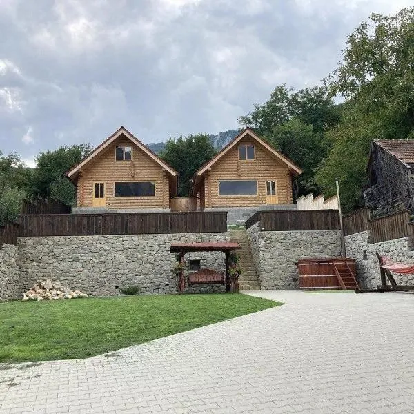 Long Rock Chalets，位于Vălişoara的酒店