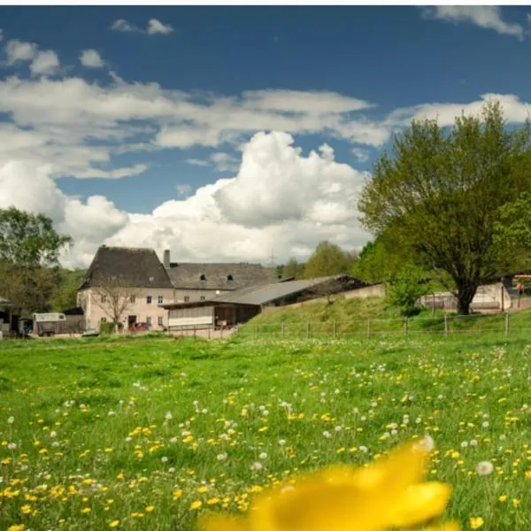 Zimmer auf dem Scheuerhof，位于维特利希的酒店