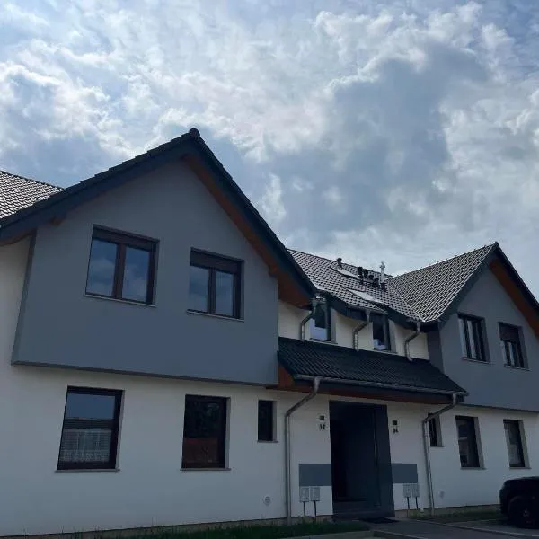 Apartamenty Parkowe，位于Przewóz的酒店