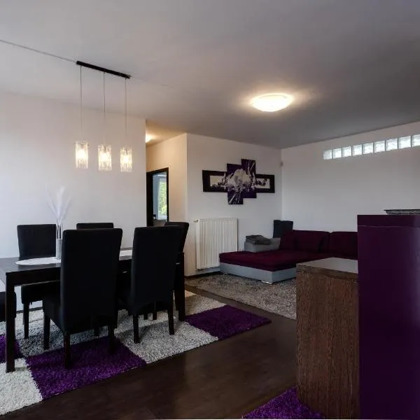 Six Corners Mystic Corner City View Balcony Apartment，位于佩奇的酒店