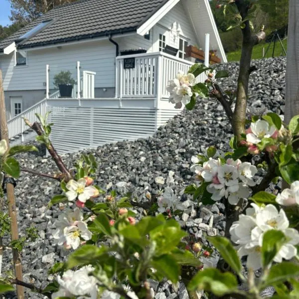 Fjord road，位于Nedstrand的酒店