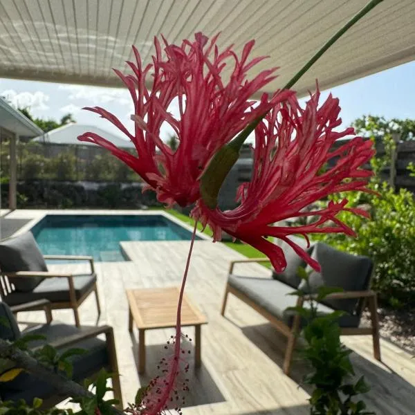 Nakolodge - 2 chambres -piscine et jardin privatifs，位于圣安尼的酒店