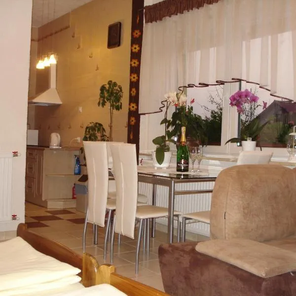 Pokoje Gościnne IRGA Apartamenty，位于Grabowiec的酒店