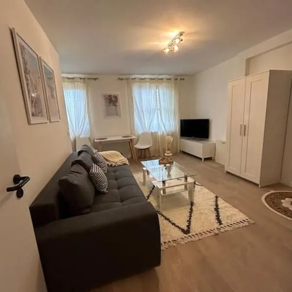 Schloss Appartement，位于帕德博恩的酒店