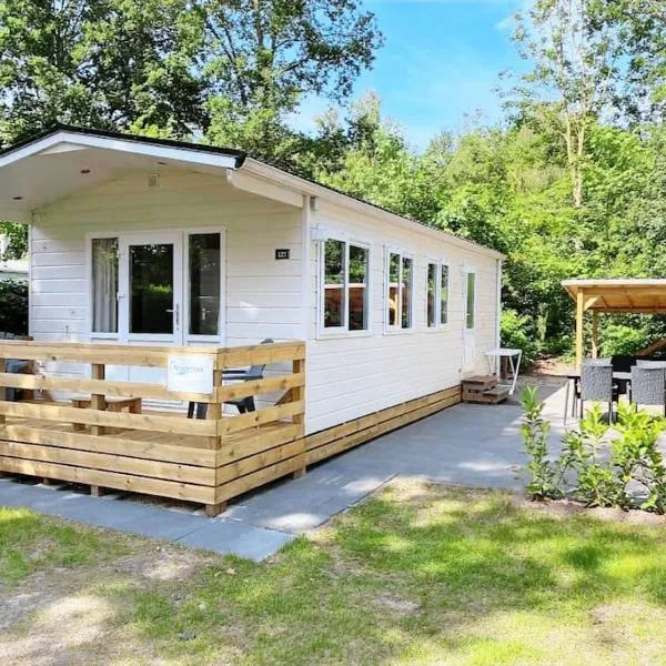 Chalet Pallegarste 125，位于Mariënberg的酒店