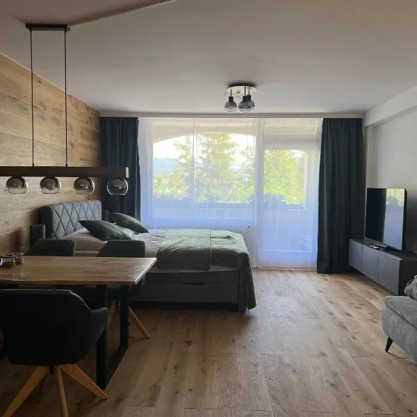 Wolfgangsee Ferienappartement Seeliebe，位于施特罗布尔的酒店