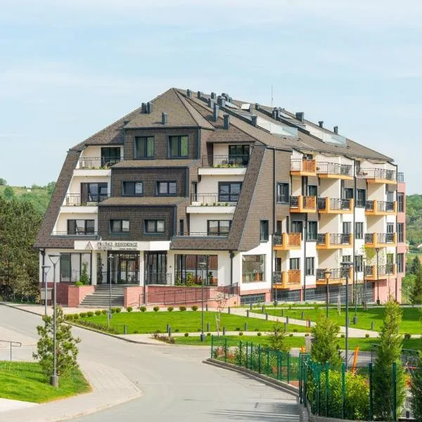 Fruške Residences，位于Beočin的酒店