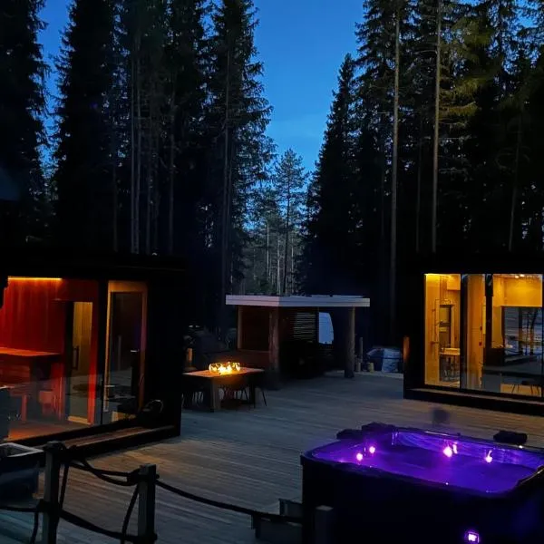 Minivilla Lapland，位于Longankulma的酒店