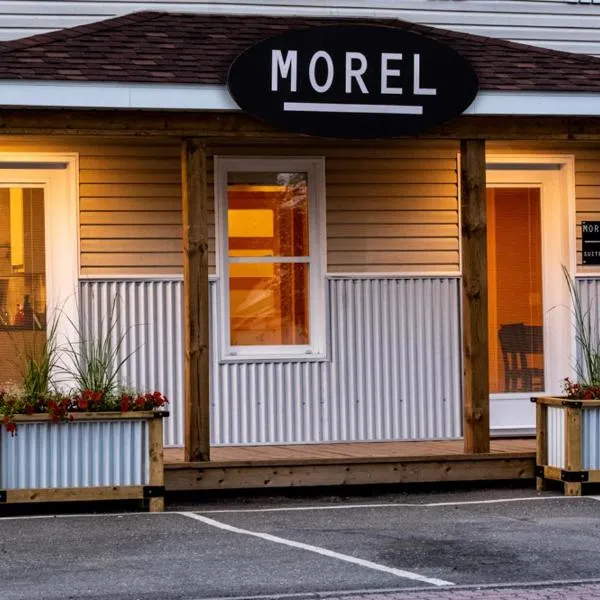 Morel Executive Suites，位于埃德门兹顿的酒店