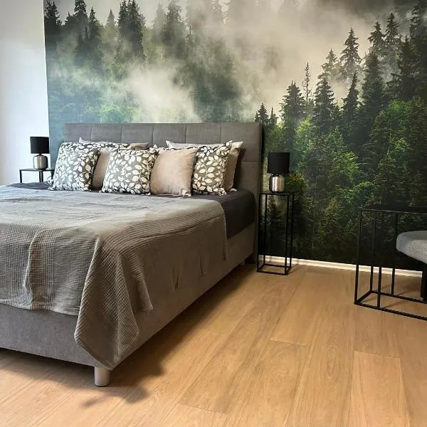 Ferienwohnung Weiss，位于巴特布雷希格的酒店