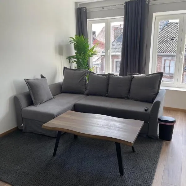 grand duplex rénové，位于于伊的酒店