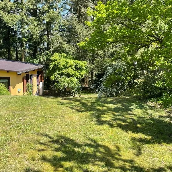 Gemütliches Ferienhaus mit Kamin in idyllischer Waldrandlage，位于Gransdorf的酒店