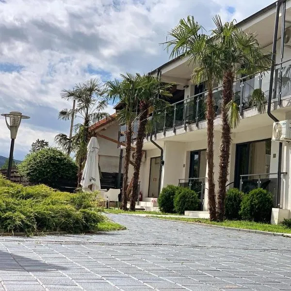 Pensiunea White Department，位于Vlădeşti的酒店