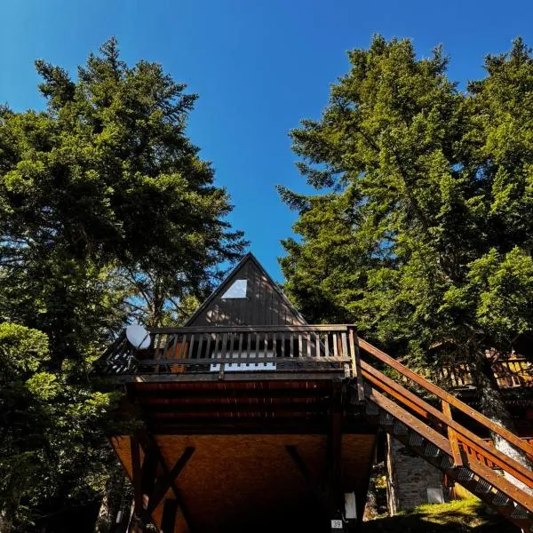 Chalet de montagne，位于于斯图的酒店