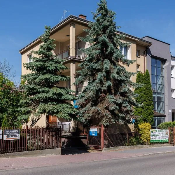 Apartamenty przy Parku，位于Handzlówka的酒店