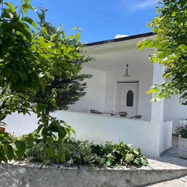 Countriside Holiday Villa，位于Kovashicë的酒店