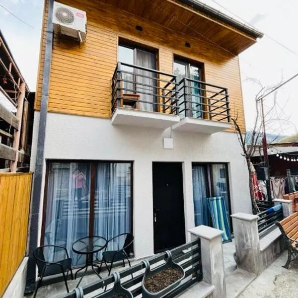 Borjomi inn，位于博尔若米的酒店
