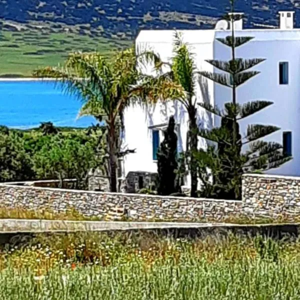 Villa Sofi in Saint George Antiparos (pool&sea)，位于安迪帕罗斯岛的酒店