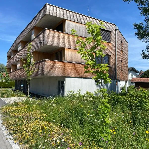 BOUTIQUE APARTMENTS LUSTENAU Nachhaltige Kühlung über Erdsonde und Fussbodenkühlung，位于卢斯特瑙的酒店