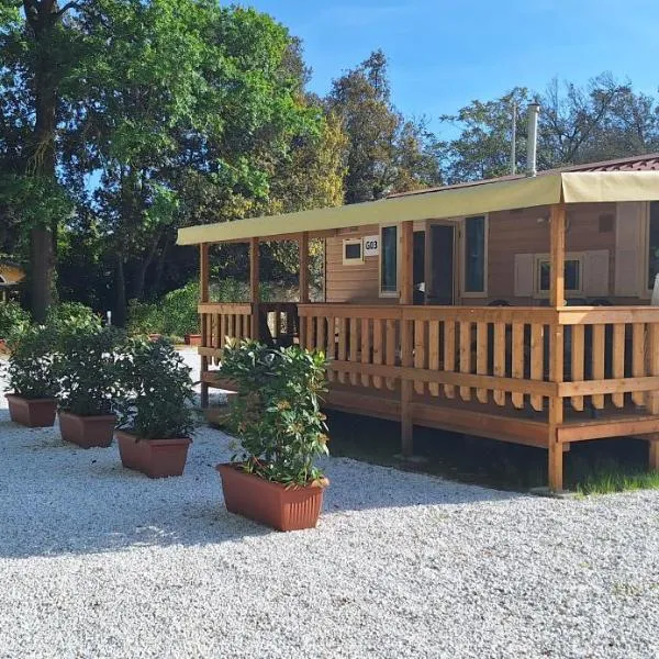 Mobile home Viareggio - including airco- Camping Paradiso - G008，位于托雷德尔格拉戈普奇的酒店