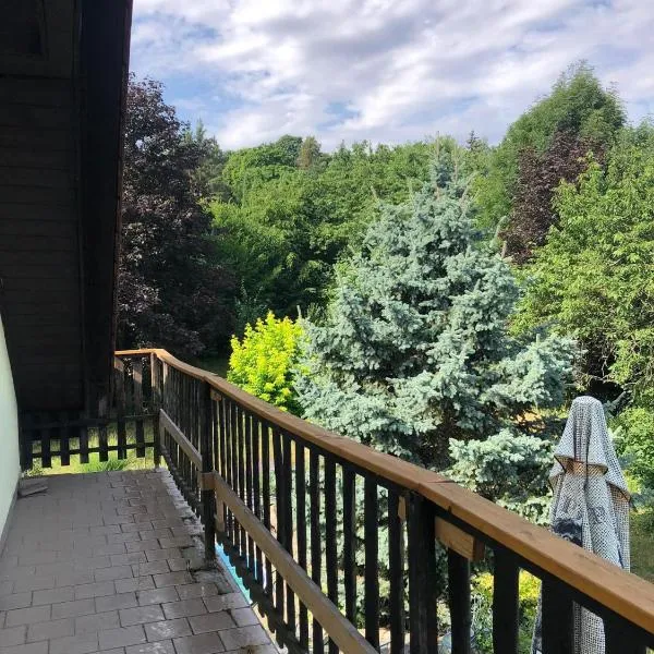 Na Věčnosti，位于Biskupice的酒店