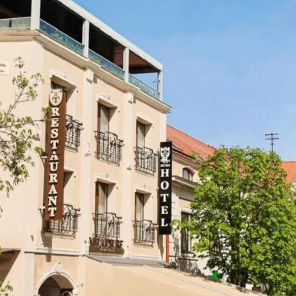 Villa Boutique Hotel，位于Verkhniy Koropets的酒店