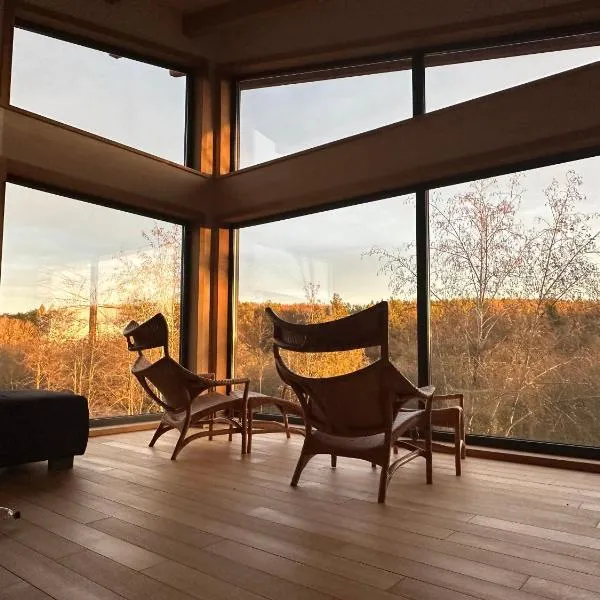 Pensiunea Hardic，位于Horodnic de Sus的酒店