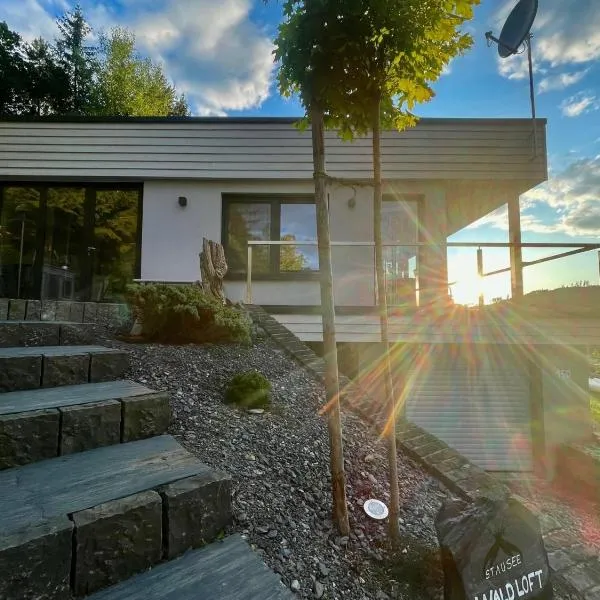 Stausee- WaldLoft，位于Drognitz的酒店