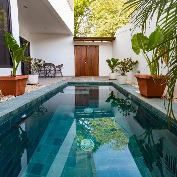 Solemar 2bdrm House - Private Pool , King Bed and Balcony Sunset View，位于坦波的酒店