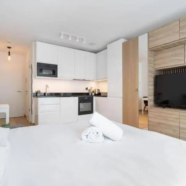 Brand new studio in center- CD7，位于卢森堡的酒店