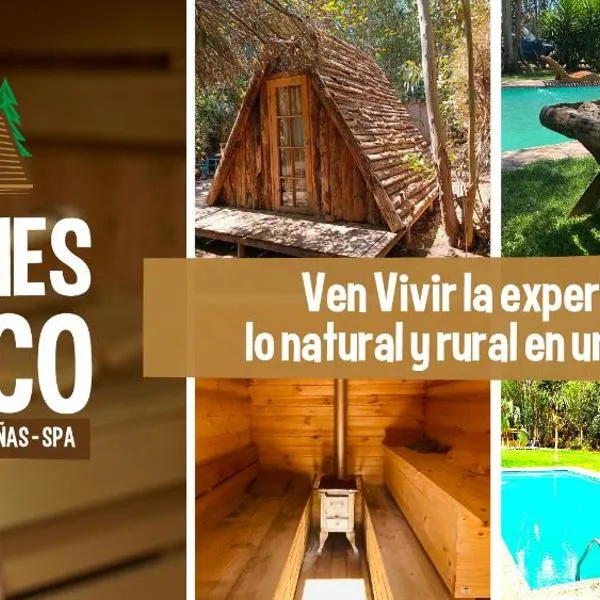 Bosques del Paico，位于梅利皮亚的酒店