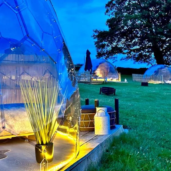 Deerstone Glamping-Boulsworth Hill Dome Hot tub，位于Earby的酒店