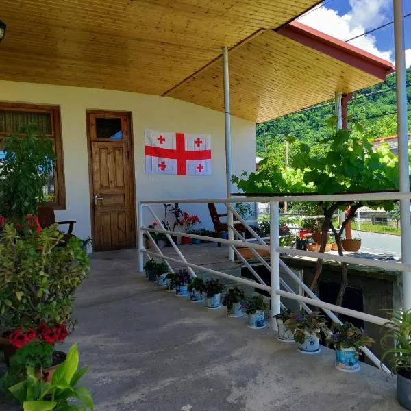Jibghashvilebi's house，位于Vardisubani的酒店