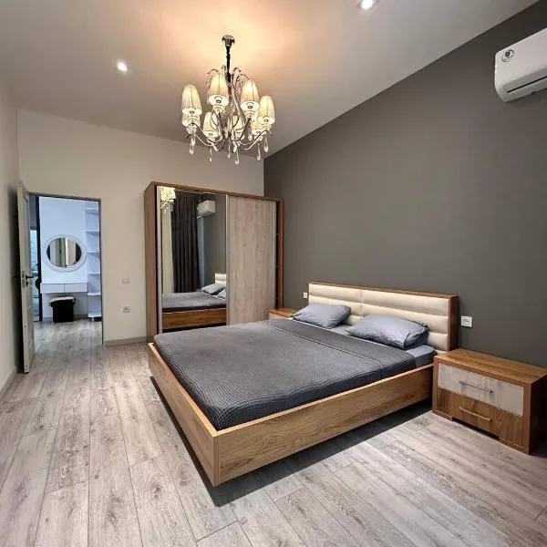 Deluxe Apartments，位于塔什干的酒店