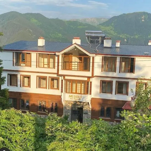 MEŞEİÇİ BUTiK HOTEL，位于Altındere的酒店