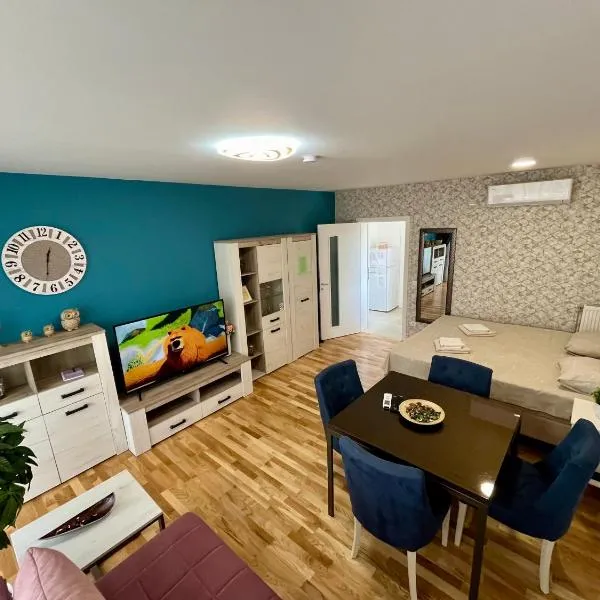 Lux apartment 10 center, free parking，位于尼什的酒店