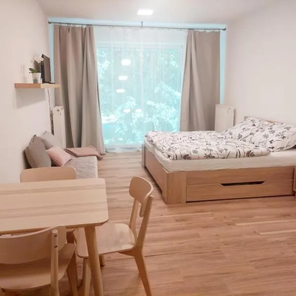 Apartmán IRIS Poděbrady，位于波杰布拉迪的酒店