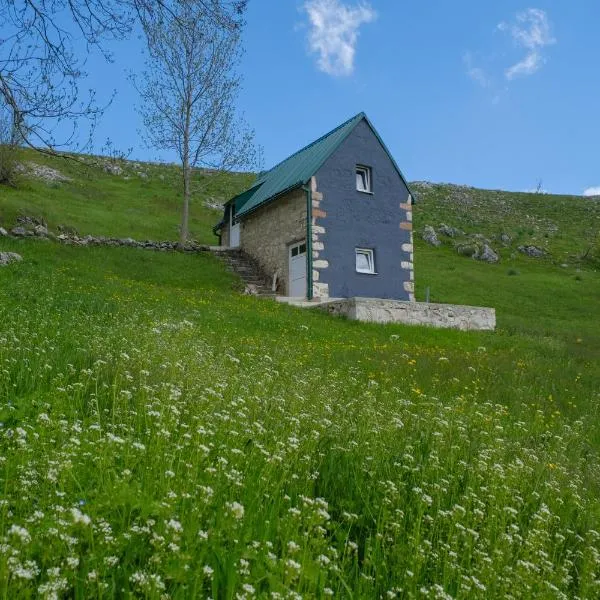 4NORTH Tiny house on the Durmitor's ring，位于Nedajno的酒店