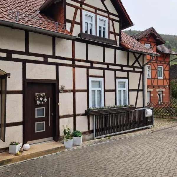 Ferienhaus Reschwitzer Auszeit，位于萨尔费尔德的酒店