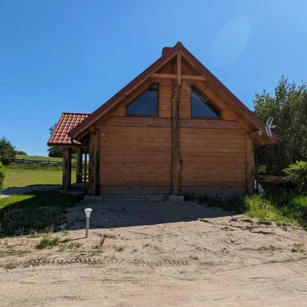 Dom pod Modrzewiem，位于Świątki的酒店