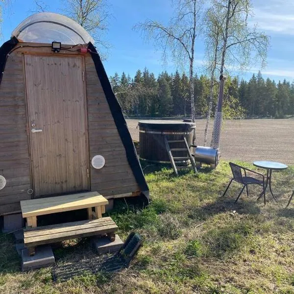 Niiralan Tila : Starlite Cabin，位于Yläne的酒店