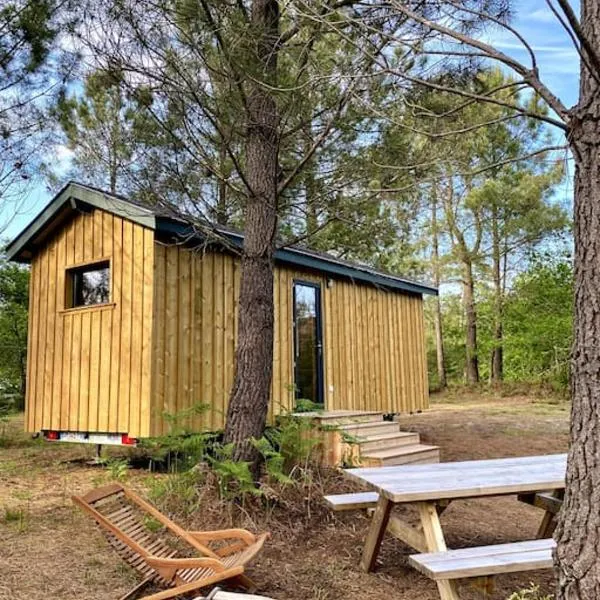 Camping la Kahute - Tiny House au coeur de la fôret，位于乌尔坦的酒店