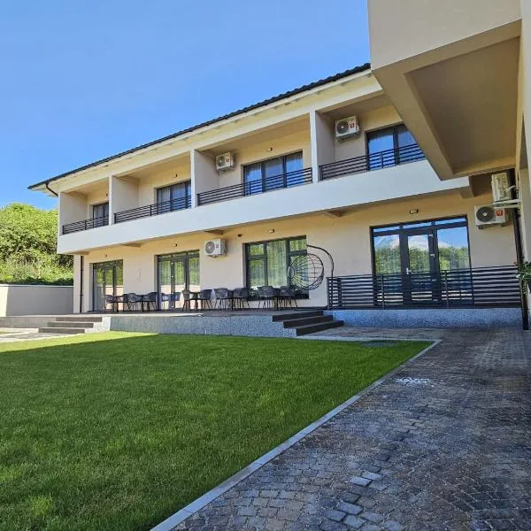 Pensiunea Boema，位于胡内多阿拉的酒店