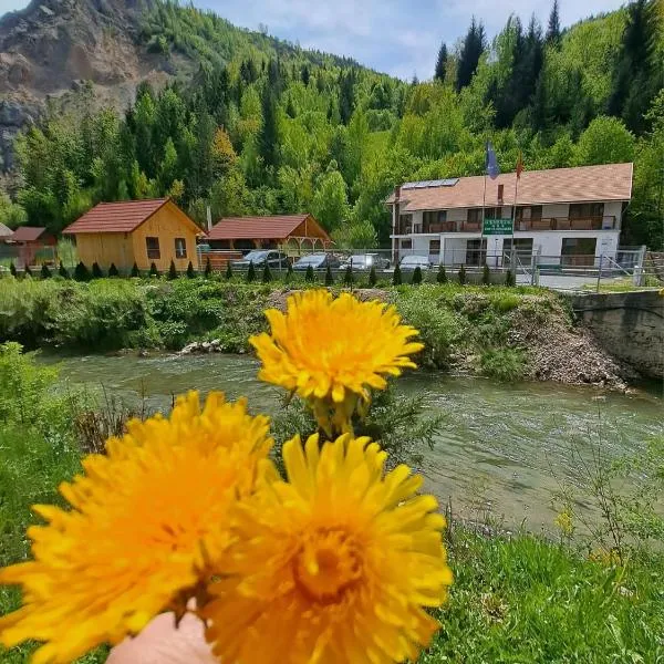 Pensiunea Cheile Șugăului，位于比卡兹凯的酒店