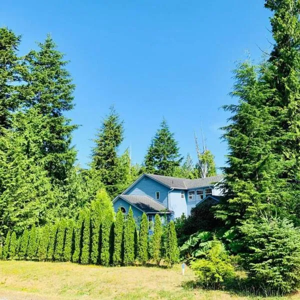 Blue Cedar Suite，位于托菲诺的酒店